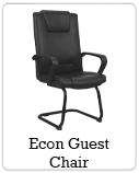 Econ Guest Chair